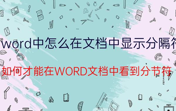 word中怎么在文档中显示分隔符 如何才能在WORD文档中看到分节符？